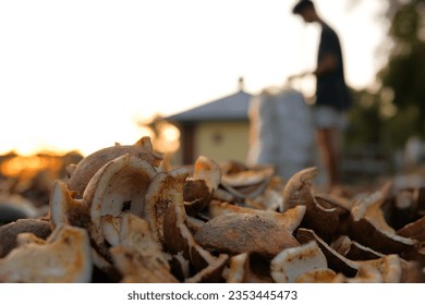 Process of drying copra from dried coconut