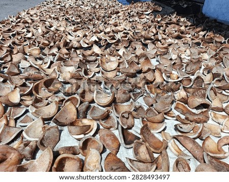 The process of drying the flesh of mature coconuts which will later become copra. Copra itself is the main raw material for making coconut oil.
