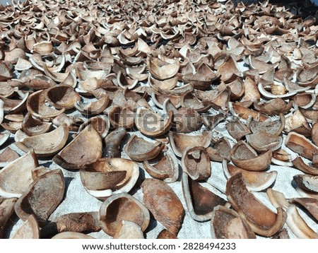 The process of drying the flesh of mature coconuts which will later become copra. Copra itself is the main raw material for making coconut oil.