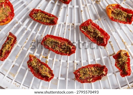 Process of drying sliced tomatoes with spices. Drying of products in an electric dryer (dehydrator). Preservation of beneficial properties and vitamins. Healthy eating. Autumn preparations.