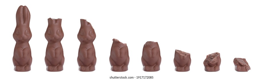 Process of eating delicious chocolate Easter bunny on white background, banner design