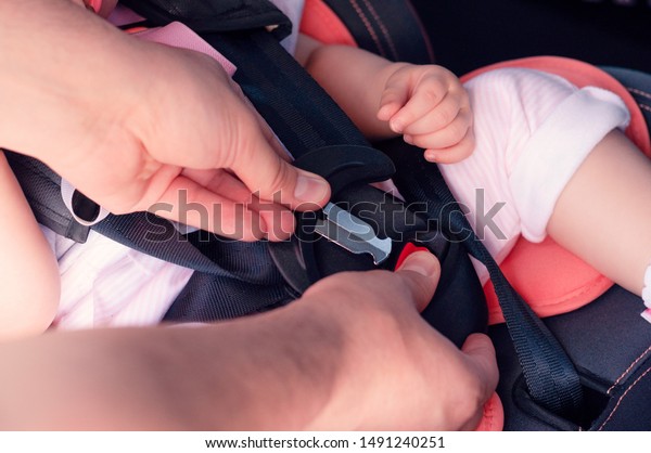 The process of
fastening seat belts on a child restraint seat in the car. Safety
for children, transport
safety