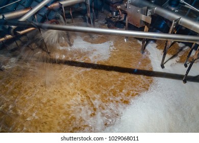 Process of fermentation and filtration of beer inside the vat