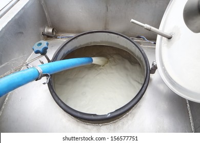 The Process Of Filling The Milk Tanker Truck