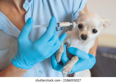 9,612 Small syringe Images, Stock Photos & Vectors | Shutterstock