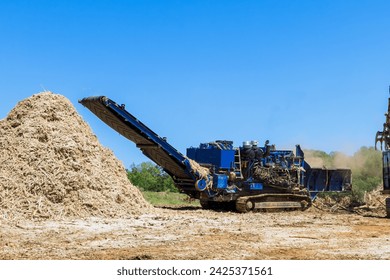In process of loading roots trees into an industrial shredder machine, forest mulcher chopped wood log.