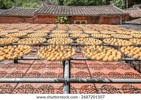 Process Of Making Dried Persimmon Biscuit With Blue Sky During Windy Autumn, Hsinpu, Hsinchu, Taiwan.