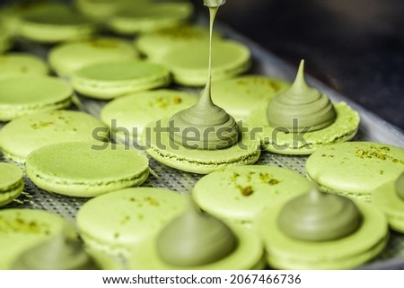 Process of making fresh handmade macaroons in restaurant kitchen. Colourful macaroons cookies on baking trays