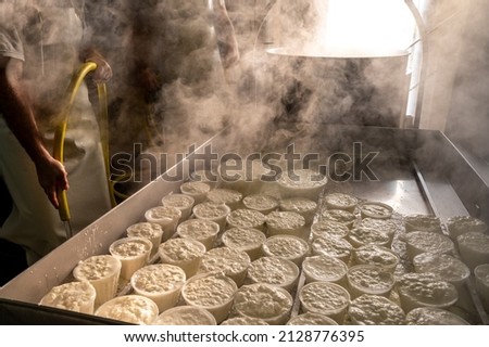 Process of making fresh white soft ricotta whey cheese early morning on small cheese farm in Parma, Italy