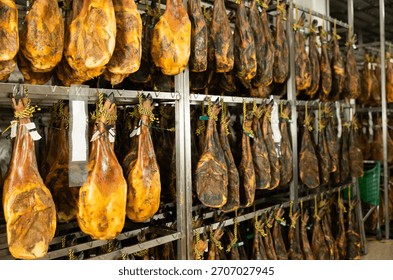 Process of making high quality ham from natural farm pork meat at the factory. Large batch of jamon is being prepared to be sent to the store