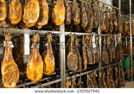 Process of making high quality ham from natural farm pork meat at the factory. Large batch of jamon is being prepared to be sent to the store