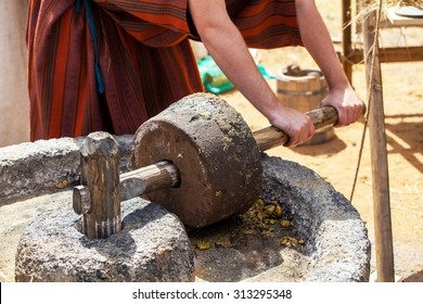 Process Of Making Olive Oil In Ancient Times 