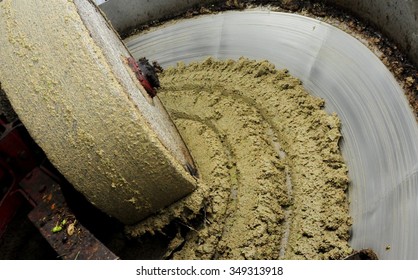 The Process Of Making Olive Oil, Equipment For The Extraction Of Oil From Olives