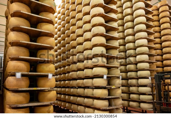 Process of making\
parmigiano-reggiano parmesan hard cheese on small cheese farm in\
Parma, Italy, factory maturation room for aging of cheese wheels up\
to 5 years