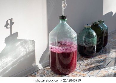 The process of making red homemade wine. A 20 liter glass bottle with an airlock in a cork. Fermentation process. - Powered by Shutterstock