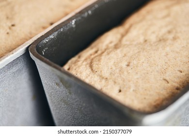 The process of making rye bread. The dough on the rye bread is laid out in a mold. End of dough proofing. Front view. - Powered by Shutterstock