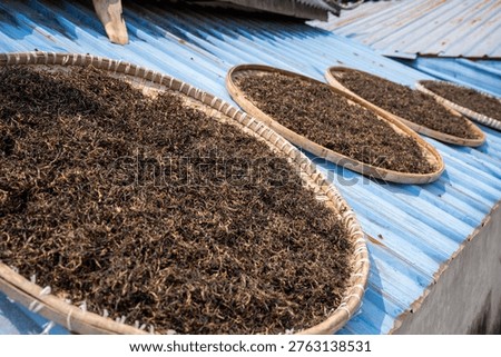 The process of making tea by hands and dry tea put the newly picked leaves in the farm under sun Zishuangpbana, China.