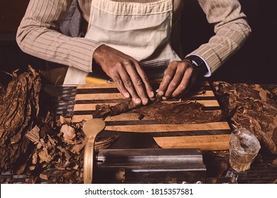 Process of making traditional cigars from tobacco leaves with hands using a mechanical device and press. Leaves of tobacco for making cigars. Close up of hands making cigars.