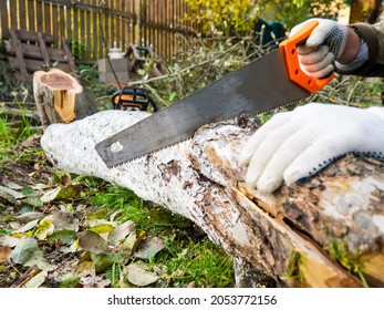The process of manual sawing of a log. Saw and the end of a tree close up. A man cuts a tree trunk with a hand saw