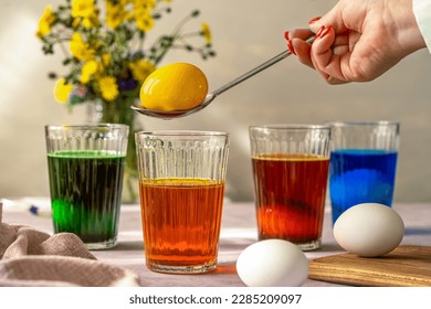 Process of painting Easter eggs. Four glasses with different colours, eggs inside with dye liquid, napkin, wild flowers, woman's hand holding painted egg