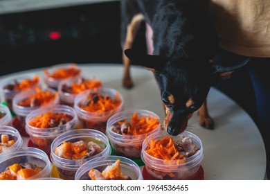 Process of preparing bowls with natural raw pet dog food at home, preparation of healthy raw barf for cats dogs, with duck, turkey, offals, meat, vegetables, assorted fresh food portions in containers - Shutterstock ID 1964536465