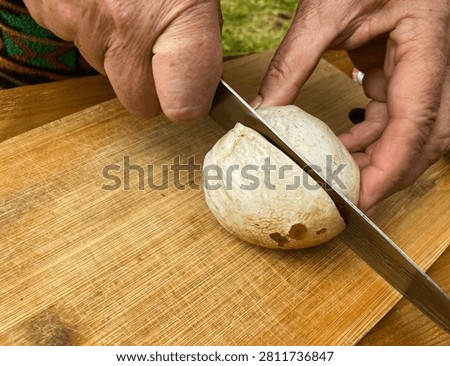 The process of preparing a tincture of Phallus impudicus, known as the common stinkhorn, for medicinal purposes. Alternative medicine