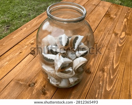 The process of preparing a tincture of Phallus impudicus, known as the common stinkhorn, for medicinal purposes. Alternative medicine
