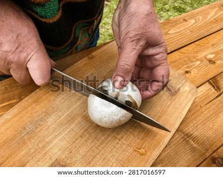 The process of preparing a tincture of Phallus impudicus, known as the common stinkhorn, for medicinal purposes. Alternative medicine
