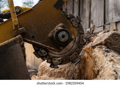 The process of removing a tree stump where the rotating head of the stump cutter grinds a freshly sawn stump.

The shredding disc is stiffened when you can see the blades splitting the stump
