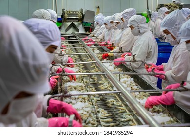 Verarbeitung von Garnelen in der Fabrik Vietnams