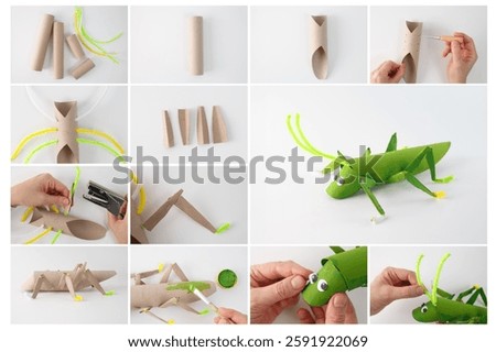 process in steps. creative engaging project that brings a grasshopper to life using simple materials, step-by-step guide, using a cardboard tube, pipe cleaners, activity for kids, recycling concept