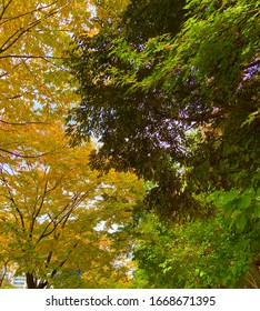 the process of summer to autumn