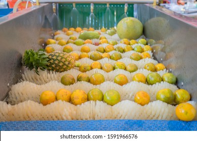 The Process Of Washing And Cleaning Of Citrus Fruits In A Modern Production Line