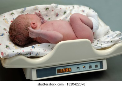 The process of weighing the newborn on the scales. Electronic baby scales for a newborn. The first minutes of life. Happiness maternity.