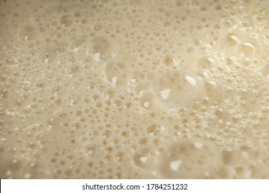 The Process Of Yeast Fermentation. Process Of Making Yeast Dough. The Adjarian Khachapuri Recipe – Georgian Cheese Bread.