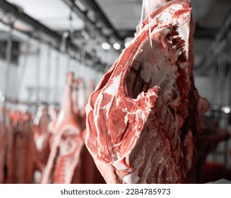 Processed beef carcasses hanging from hooks in storage area of slaughterhouse - Powered by Shutterstock