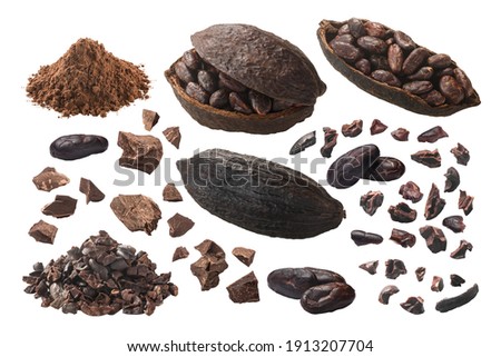 Processed Cocoa: nibs, fermented beans, pods, cacao mass, powdered, piles, isolated