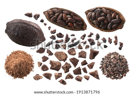 Processed Cocoa: nibs, fermented beans, pods, cacao mass, powdered, piles, isolated, top view