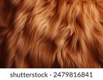 Processed collage of fluffy animal fur surface texture. Background for banner, backdrop or texture for 3D mapping