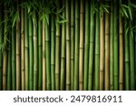 Processed collage of green bamboo fence surface texture. Background for banner, backdrop or texture for 3D mapping