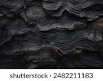 Processed collage of old black tree bark surface texture. Background for banner, backdrop or texture for 3D mapping