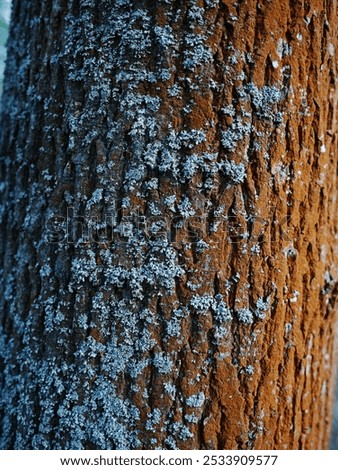 Processed collage of old black tree bark surface texture. Background for banner, backdrop or texture for 3D mapping. High quality photo
