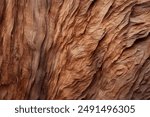 Processed collage of old tree bark trunk material texture. Background for banner, backdrop or texture for 3D mapping