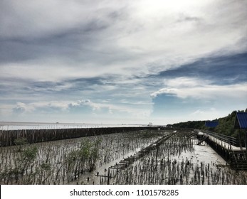 Processed with Iphone6s