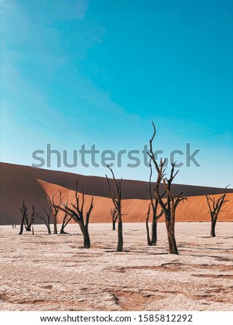 Similar – arid expanse Landscape