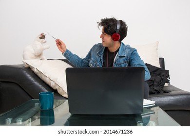 Procrastination: Young Man With Headphones Playing With His Cats	
