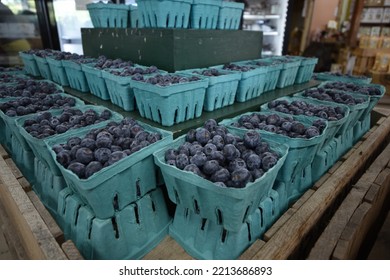 Produce Market Display Of Blueberries For Sale In Green Molded Pulp Fiber Produe Vented Berry Pint Cartons.  Select Focus