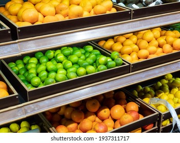 Produce Market Display Of Fresh Limes, Grapefruit And Oranges. Assorted Citrus On The Market Counter