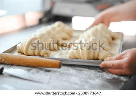 Producing classic croissants at the bakery shop. Woman is rolling dough into rolls for further baking. French pastry goods.