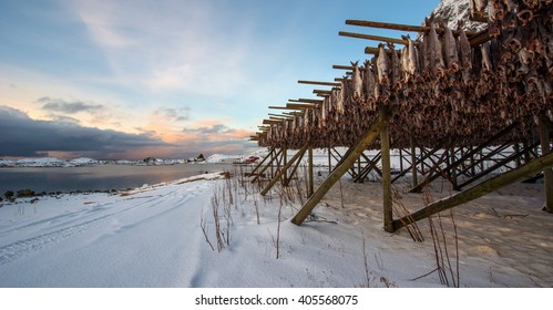 Producing Stockfish From Cod